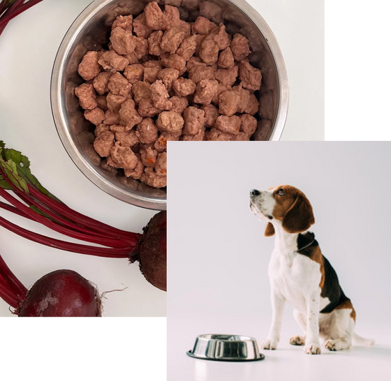 Nourish Your Dog with Bowlsome's Premium Meatballs