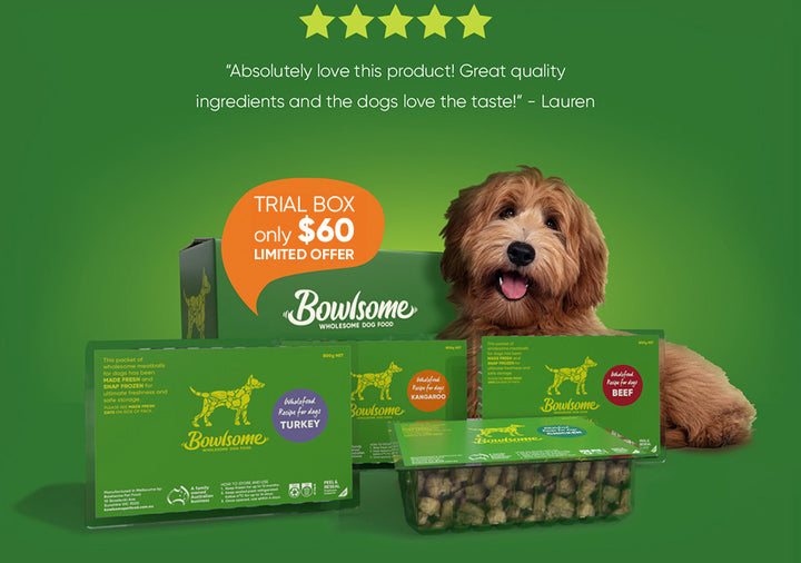 Nourish your dog with our premium, fresh meatballs